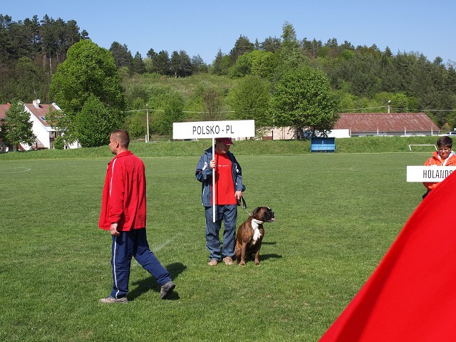 www.atibox.net * www.euroboxer.eu * www.boxergenealogia.eu